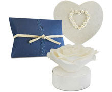 Biodegradable Urns